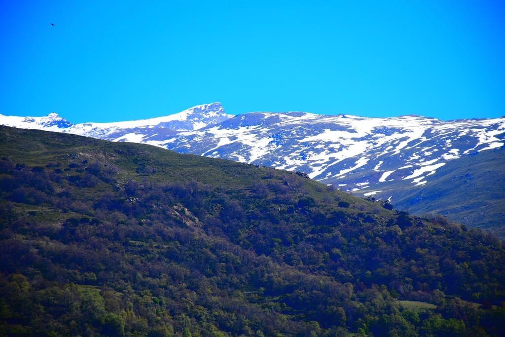 Apartamentos Vista Veleta Capileira Eksteriør billede