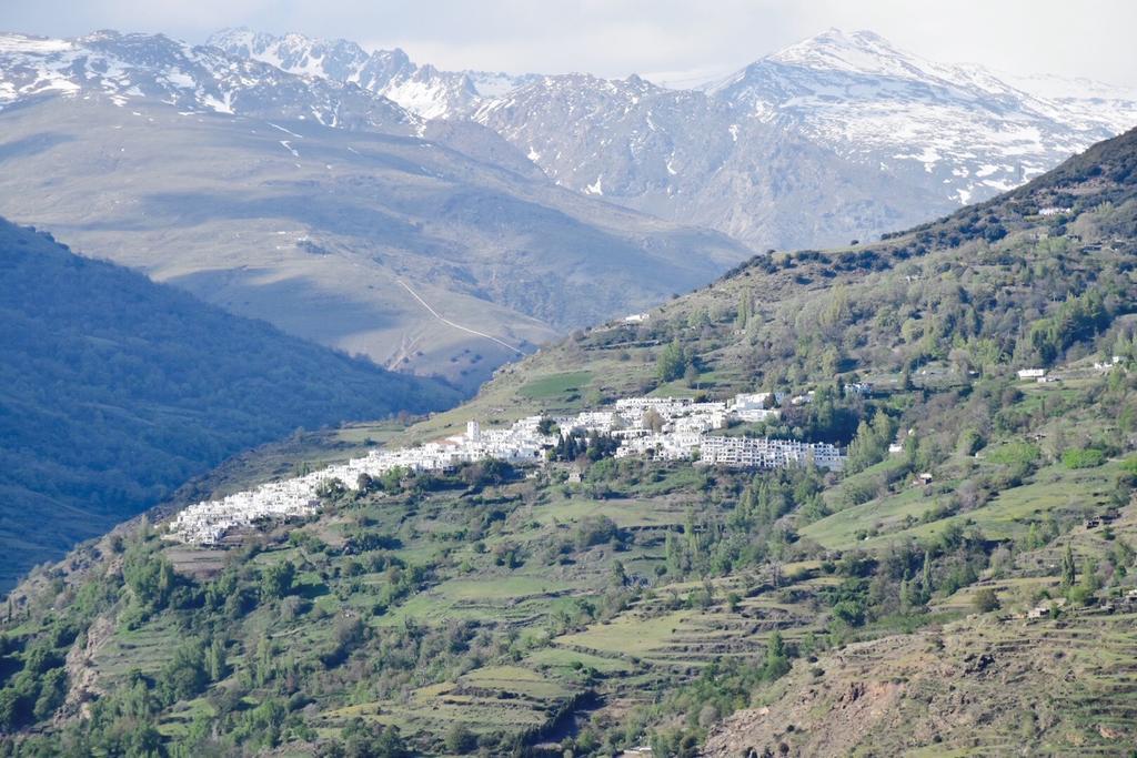Apartamentos Vista Veleta Capileira Eksteriør billede
