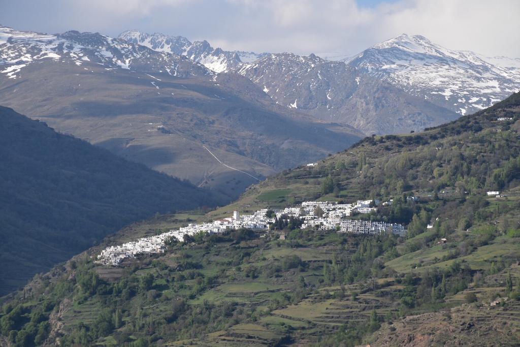 Apartamentos Vista Veleta Capileira Eksteriør billede