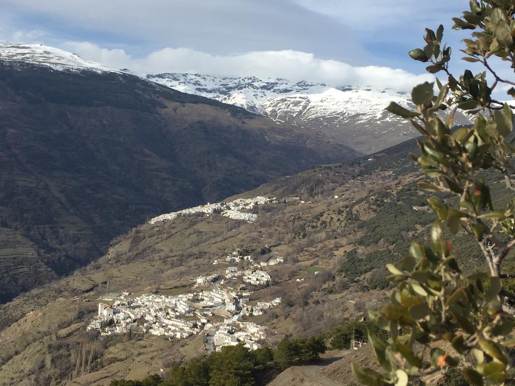 Apartamentos Vista Veleta Capileira Eksteriør billede